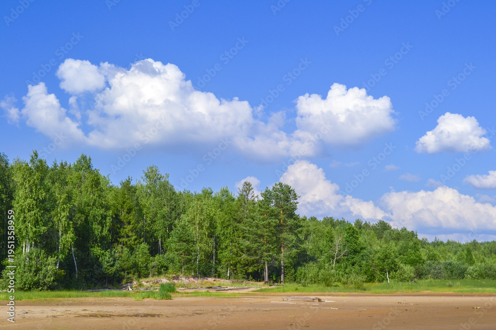 Fototapeta premium Lush green forest edge under bright blue sky and fluffy white clouds