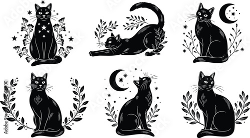 Mystical black cat illustrations set moon stars floral elements witchcraft magic gothic halloween feline silhouettes vintage engraving style vector collection