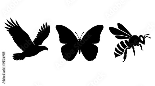 Three flying creatures silhouette illustrations