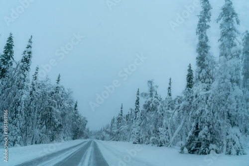 road in winter forest