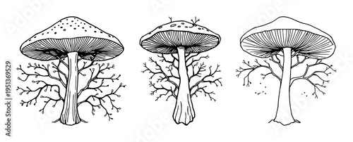 Mushroom mycelium network set with fine line art on white background featuring organic material, sustainable theme, delicate thin lines with illustration and vector