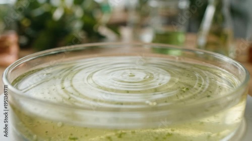 Wallpaper Mural Plant derived chemistry green chemistry petri dish with liquid ripple and algae fragments laboratory liquid ripple experiment evoking scientific study Torontodigital.ca