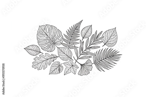 Black and white vector illustration of a maple leaf with a floral pattern design on a nature branch for autumn season foliage decoration