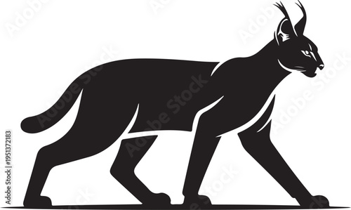 Quadro em tela Black silhouette of a walking caracal cat with distinctive ear tufts