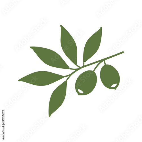 Retro Mediterranean Olive Oil Brand Identity Illustration