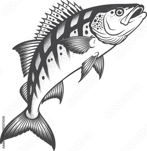 Jumping Walleye Fish Illustration Graphic Design Vector Art