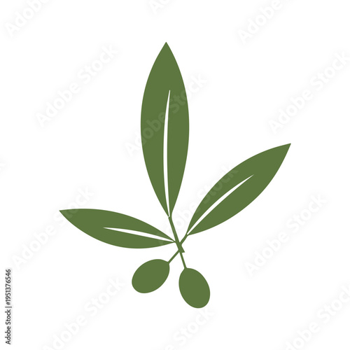 Olive Oil Drop Olive Branch Food Logo Design