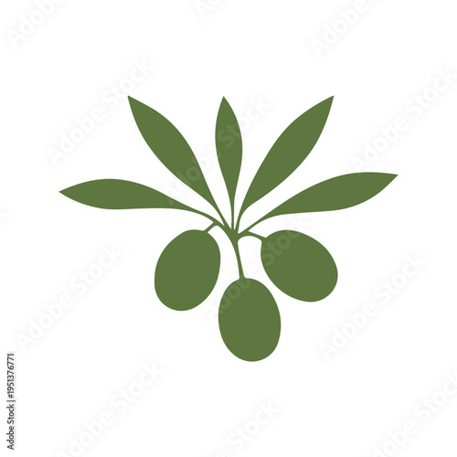 Olive Tree Branch Organic Farm Logo Design