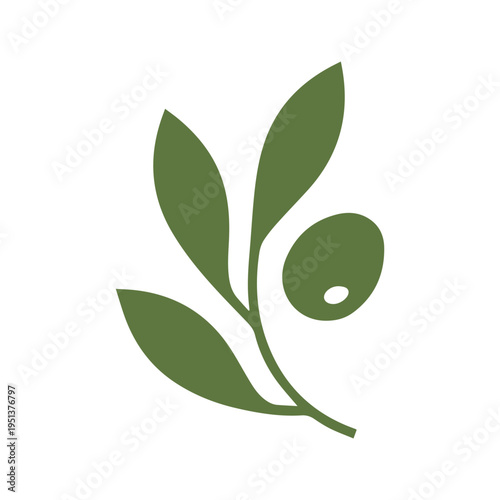 Mediterranean Olive Oil Nature Brand Identity Symbol