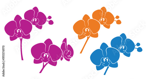 Colorful orchid flower arrangements presented as a striking graphic silhouette