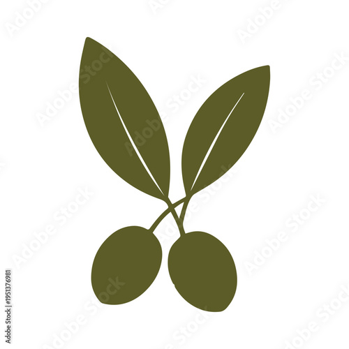 Organic market olive brand logo