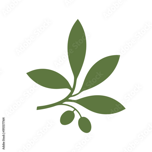 Healthy lifestyle olive brand logo