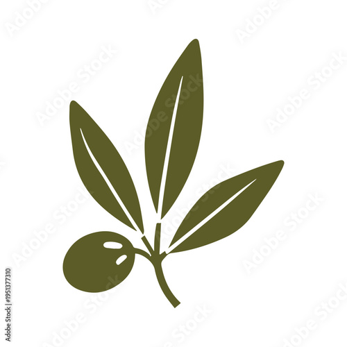 Botanical olive branch logo