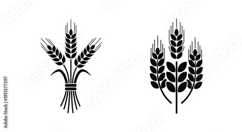 Two arrangements of wheat stalks depicted in a striking silhouette