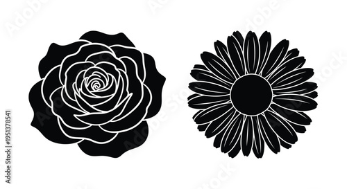 Two floral designs a rose and a daisy in black silhouette