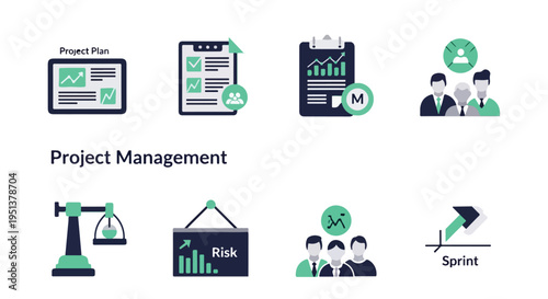 Set of 8 Project Management vector icons in flat style, depicting planning, tasks, analytics, team, risk, and sprint concepts for business presentations and web design