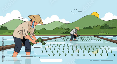 Farmers plant rice seedlings in a flooded paddy field under a bright sun