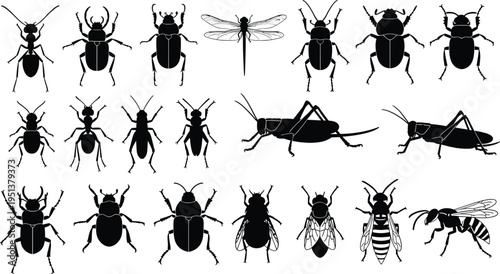 Insect silhouette vector illustration set, black beetle ant dragonfly wasp and grasshopper icons, bug collection isolated on white background, nature.