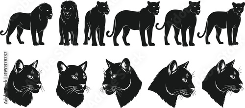 Lion and panther silhouette vector illustration set, big cat head icons, wild predator animal collection isolated on white background, nature.