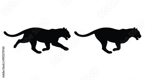 Two black panthers in a dynamic hunting pose a striking silhouette