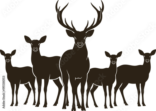 Majestic deer family silhouette collection of stag with antlers and does standing together, cad drawing flat vector illustration, isolated on white.