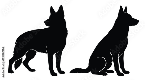 Two german shepherd dogs in profile a striking black silhouette