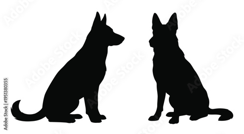 Two german shepherd dogs facing each other in a dark silhouette