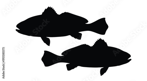 Two black fish shapes are displayed against a white background silhouette