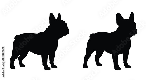 Two french bulldogs are depicted in a striking black silhouette