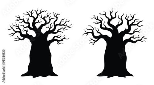 Two baobab trees with intricate branching patterns a stark black silhouette