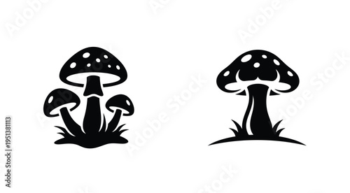 Black and white illustration of various mushrooms a striking silhouette
