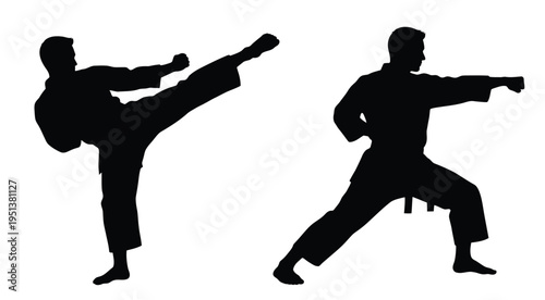 Two martial artists demonstrate dynamic kicks in a striking silhouette