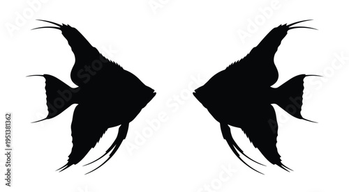 Two angelfish facing each other detailed black shapes striking silhouette