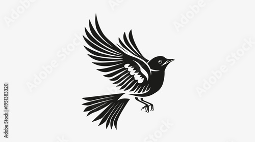 Black and white bird illustration in flight with extended wings on white background