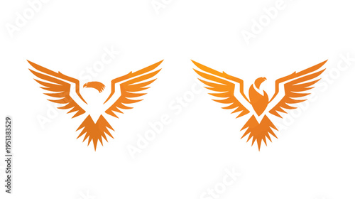 Abstract phoenix bird logo designs with orange gradient vector illustration