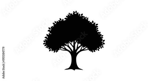 Silhouette of a deciduous tree against a white background for design use