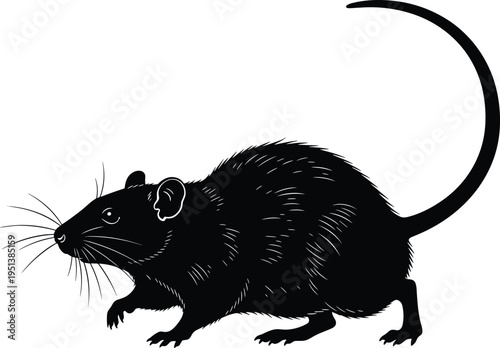 Rat silhouette vector illustration, black mouse icon, rodent character, cad drawing flat vector illustration, flavector, isolated on white background, animal.
