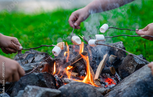 People roasting marshmallows around camping bonfire in the evening