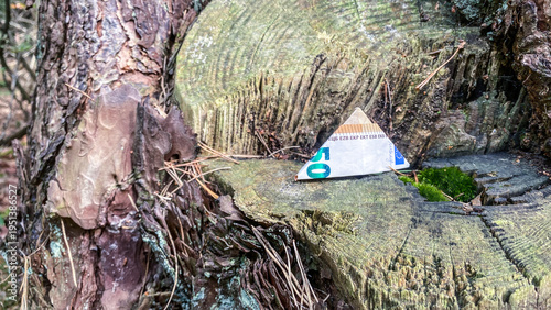 Sustainable Investment Concept Fifty Euro Banknote Tree Stump Forest Floor Moss Wood Annual Tree Rings