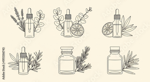 Set of hand drawn essential oil bottles