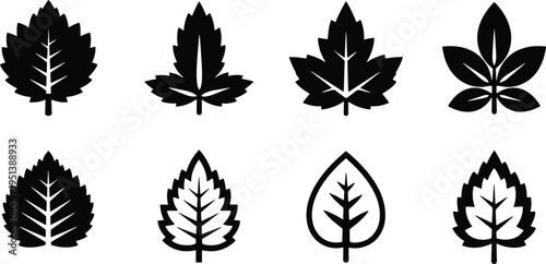 A set of vector line art leaf silhouettes in black and white for design and illustration purposes