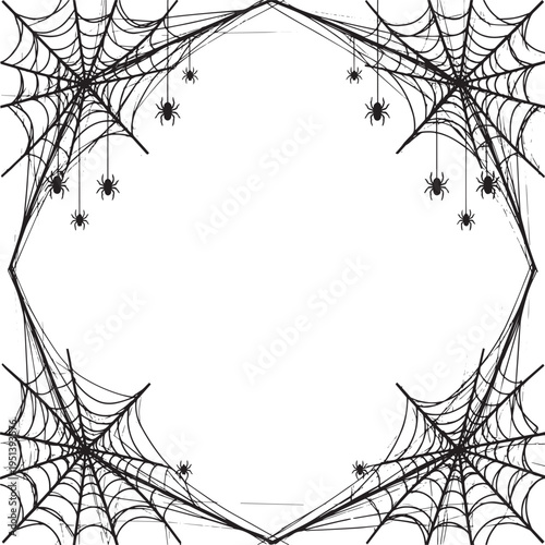 vector illustration of a spider web