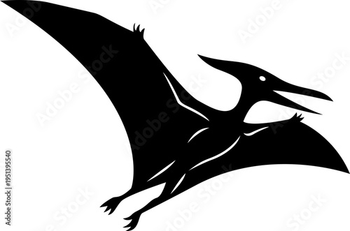 vector illustration of a pterosaur