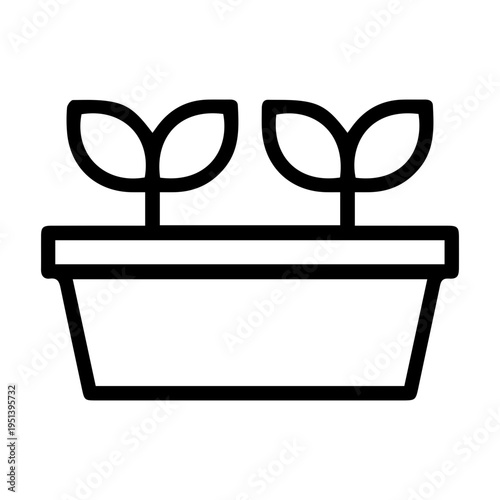 Small Plants in Pot