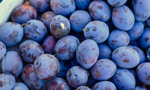 Bild auf Leinwand Fresh plums, market produce, stone fruit, ripe plums, seasonal fruits, fruit box