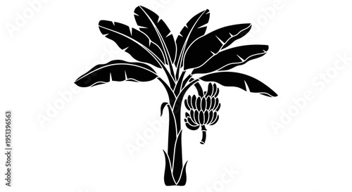 Black and white illustration of a banana tree isolated on white background