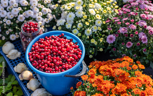 Foto Red fresh healthy cranberries in a street food market ready to sell and eat, clo