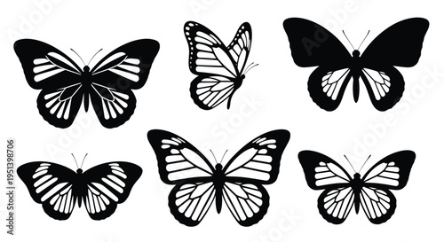 A collection of butterflies displayed in a striking black silhouette