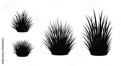 Four spiky agave plants arranged on a white background silhouette
