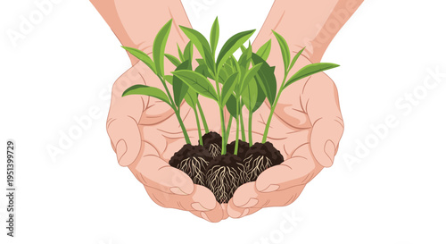 Two light-skinned hands gently cup and hold a cluster of five vibrant green seedlings with visible roots and soil on a plain white background.